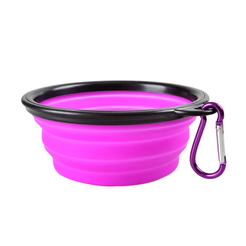 Collapsible Pet Feeding Bowl